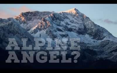 Fireside Friday: Alpine Angel?