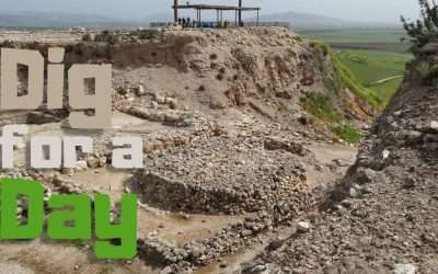 Fireside Friday: Dig for a Day