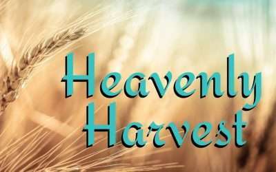 Fireside Friday: Heavenly Harvest