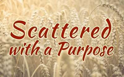 Fireside Friday: Scattered with a Purpose