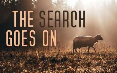 Fireside Friday: The Search Goes On