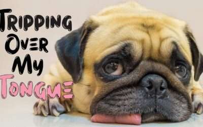 Fireside Friday: Tripping Over My Tongue