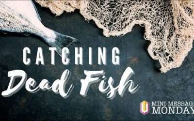 Mini-Message Monday: Catching Dead Fish
