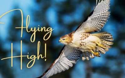 Mini-Message Monday: Flying High!
