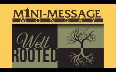 Mini-Message Monday: Well Rooted
