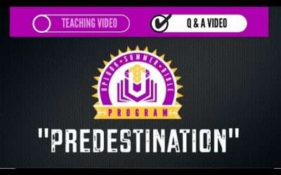 Predestination: Q&A with Jabe Nicholson