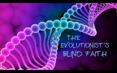 The Evolutionist’s Blind Faith