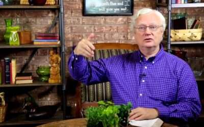 What God Can Do With a Chicken