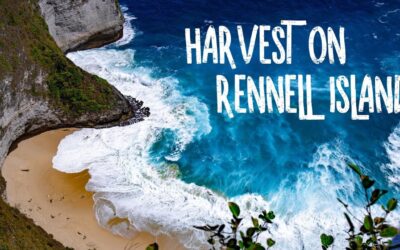 Fireside Friday: Harvest on Rennell Island