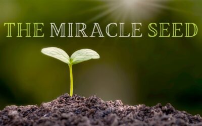 Mini-Message Monday: The Miracle Seed