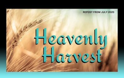 Fireside Friday: Heavenly Harvest (repost)