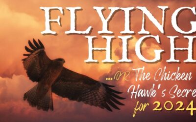 Mini-Message Monday: Flying High!