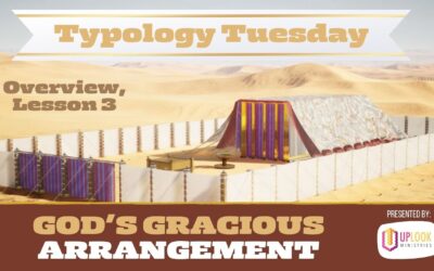 Overview, Lesson 3: God’s Gracious Arrangement