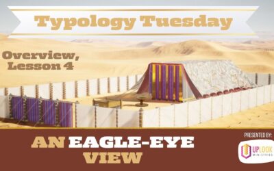 Overview, Lesson 4: An Eagle-Eye View