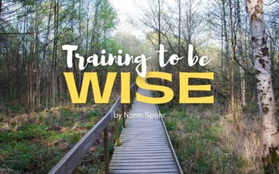 Training To Be Wise