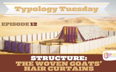 Episode 12: Structure — The Woven Goats’ Hair Curtains