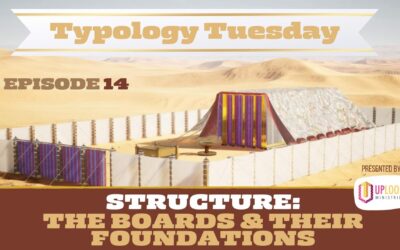 Episode 14: Structure — The Boards & Their Foundations