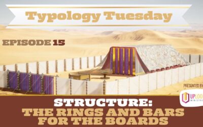 Episode 15: Structure — The Rings and Bars for the Boards