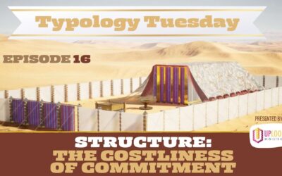 Episode 16: Structure — The Costliness of Commitment