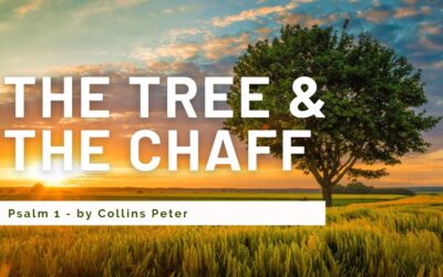 The Tree and the Chaff