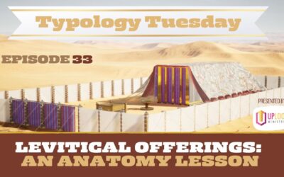 Episode 33: The Levitical Offerings — An Anatomy Lesson