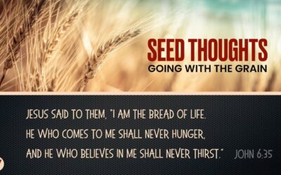 Seed Thoughts 27