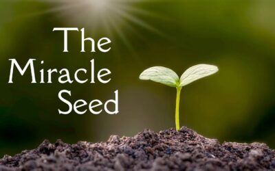 Mini-Message Monday: The Miracle Seed