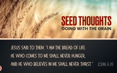 Seed Thoughts 60