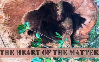 Fireside Friday: The Heart of the Matter