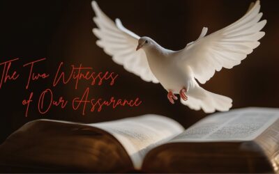 Fireside Friday: The Two Witnesses of Our Assurance