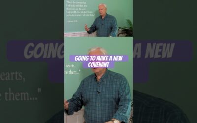 Set FREE From The Law!