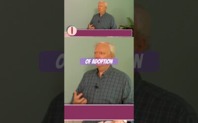 The Spirit of Adoption