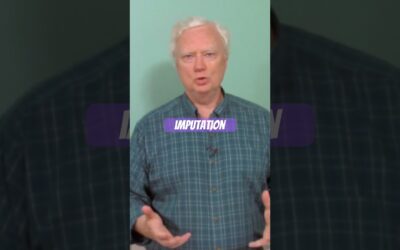 What does IMPUTATION mean?