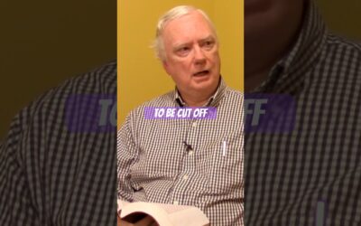 Cutting off branches?? (John 15)