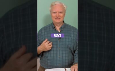 Our Responsibility Regarding PEACE