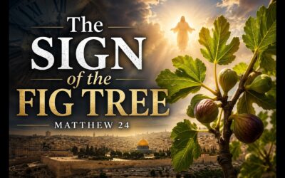 The Sign of the Fig Tree